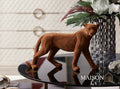 Leopard brown