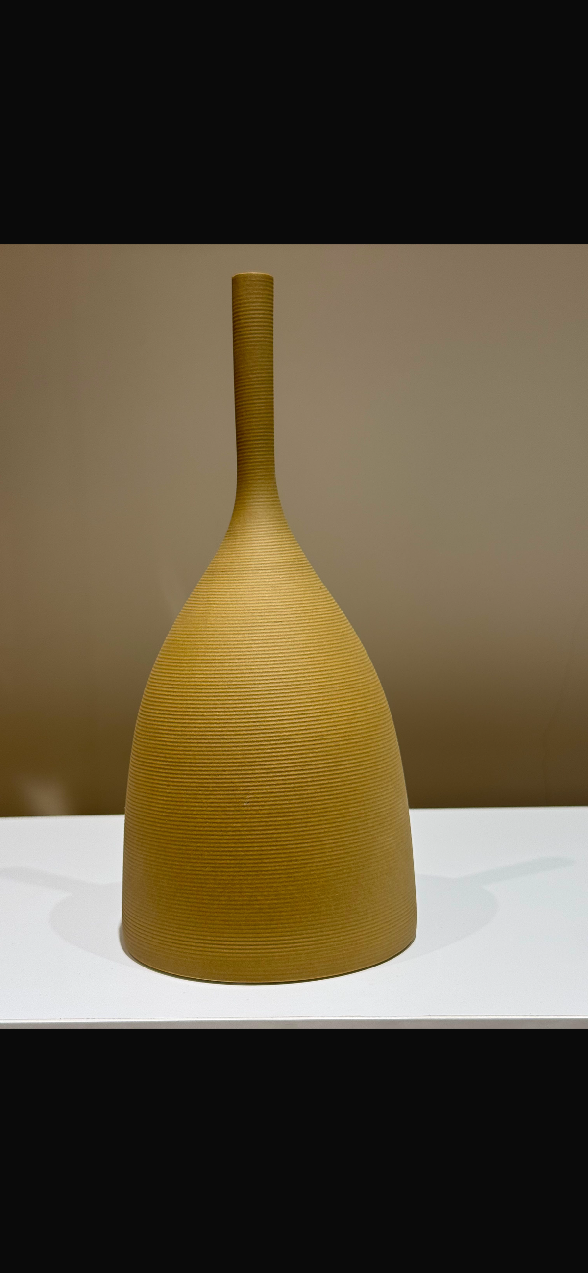 Pottery vases