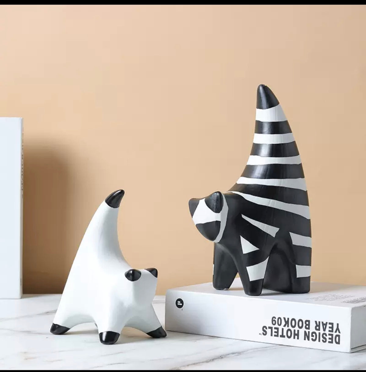 Black & white cats
